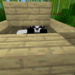 Bifogad bild